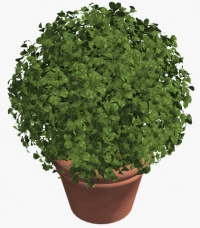 Ball in pot